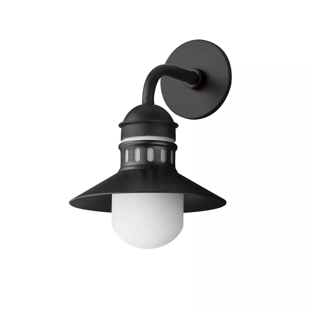Admiralty 1-Light Outdoor Wall Sconce material