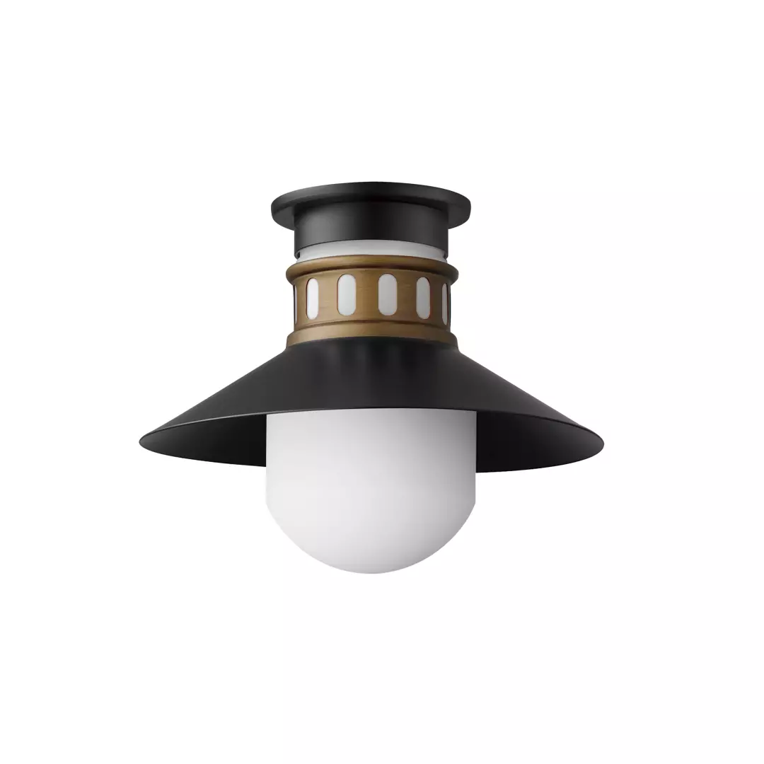 Admiralty 1-Light Outdoor Flush Mount material